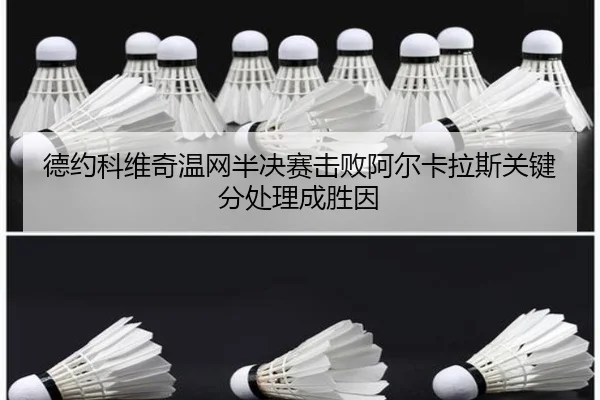 de-yue-ke-wei-qi-wen-wang-ban-jue-sai-ji-bai-a-er-ka-la-si-guan-jian-fen-chu-li-cheng-sheng-yin-2-443.jpg