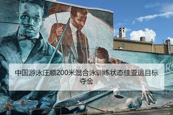 中国游泳汪顺200米混合泳训练状态佳亚运目标夺金